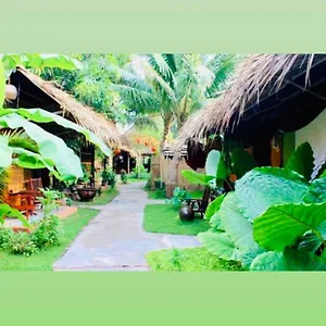 Homestay Under The Coconut Tree, Hoi An